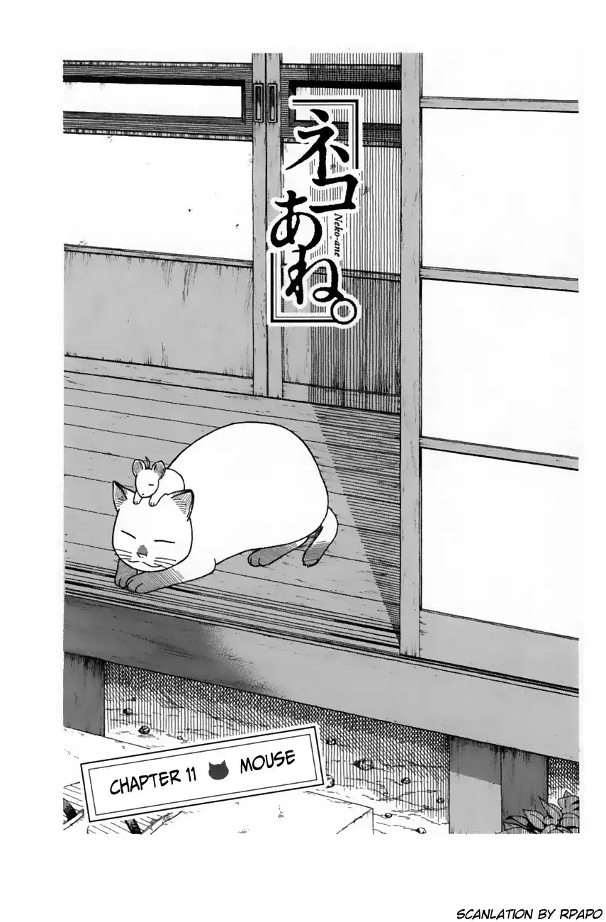 Neko Ane Chapter 11 3